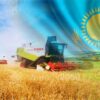 Сельское хозяйство Казахстана